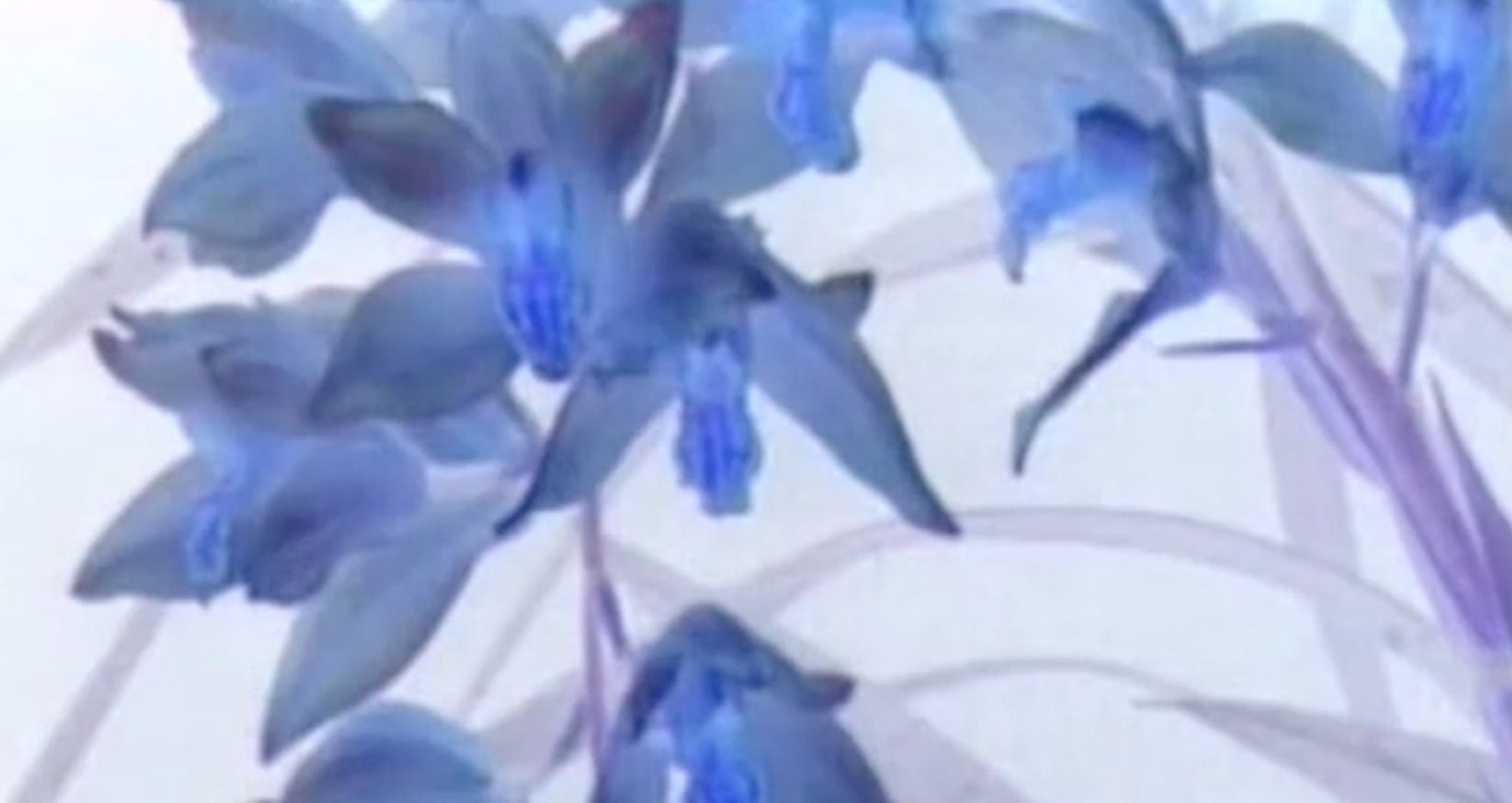 514_wp