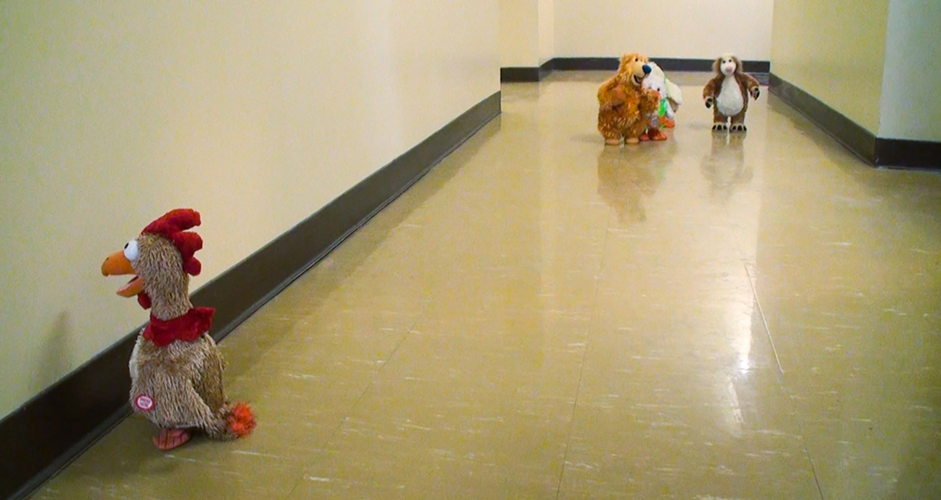 © Donigan Cumming, Exit Interview, 2014 Image couleur, des peluches dans un couloir