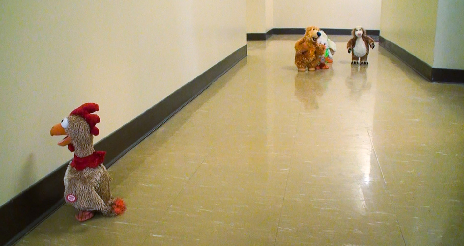 color picture, Teddy Bears standing in a corridor