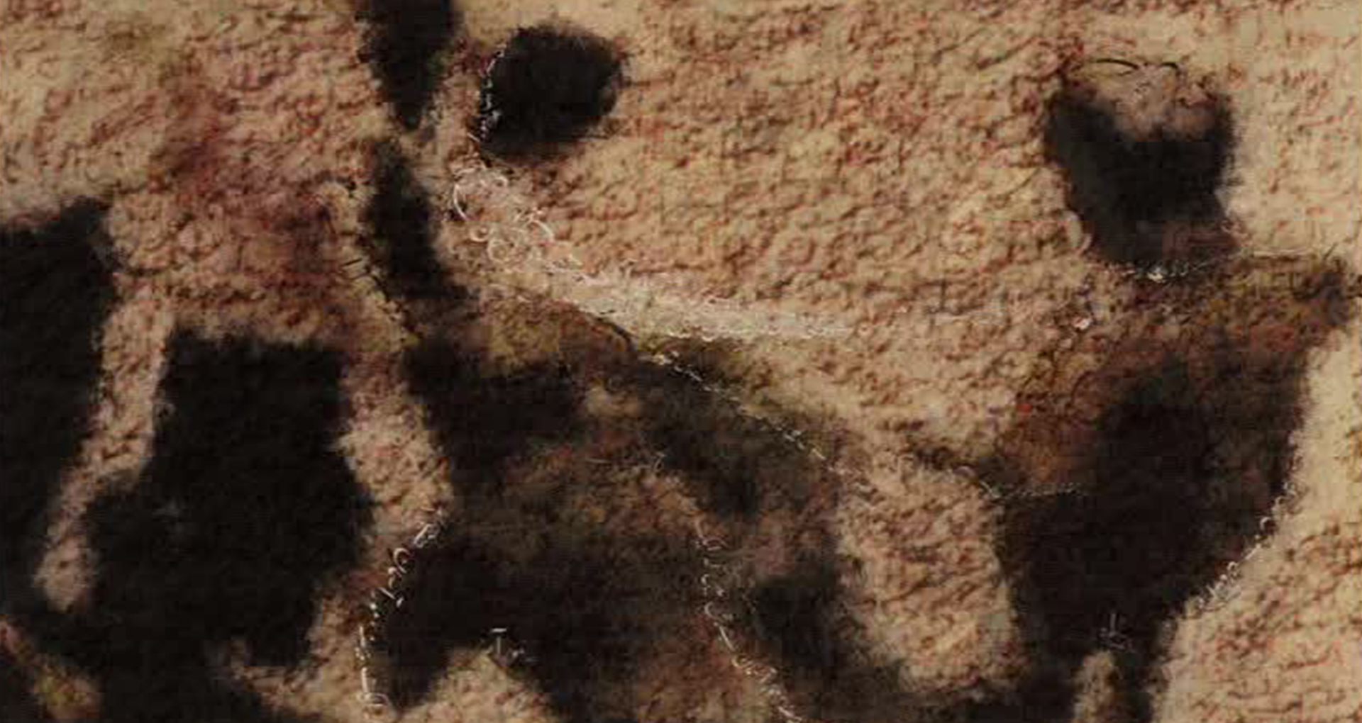 11 au 13 mars 2016. La Vientianale – Vientiane International Film Festival – présentera une sélection de court-métrages d’animation récents distribués par Vidéographe. abstract drawing in color. Black, brown and white pencil lines.