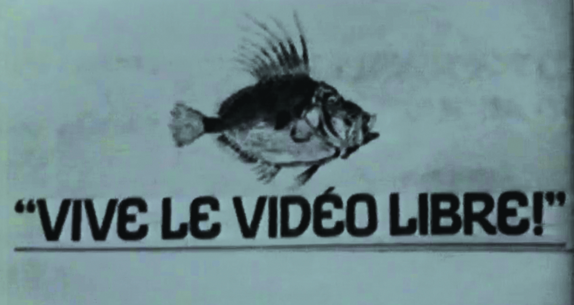 Image noir et blanc. Un gros poisson. « Vive le vidéo libre ! »