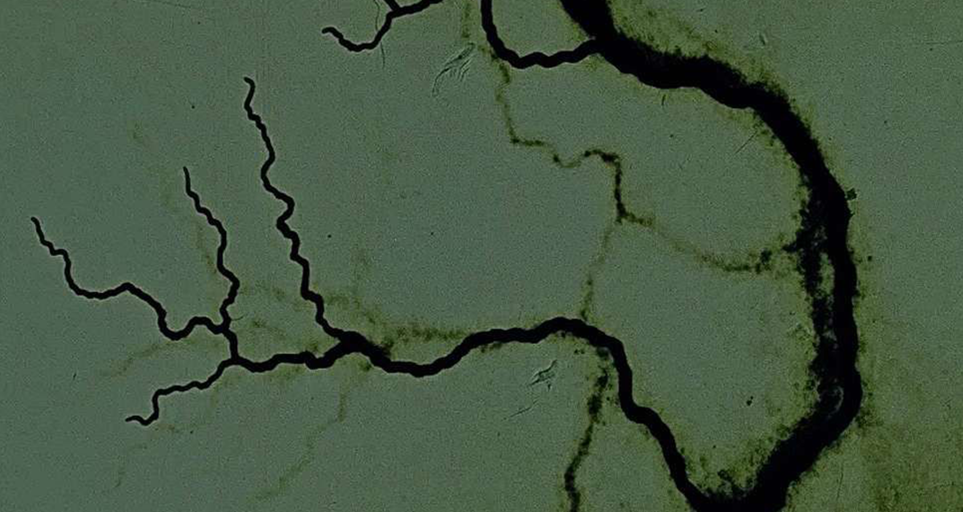 dead-sea-scrolls-woloshen_wp