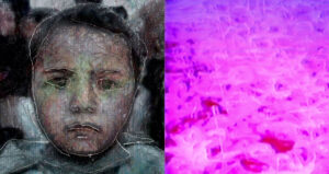 image couleur, uj portrait d'enfant à gauche et un champs de fleur rose à droite